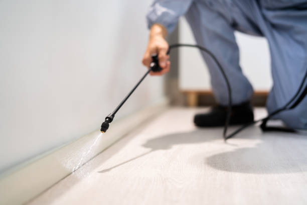 Bed Bug Pre-Treatment Preparation Assessment in Greenport West