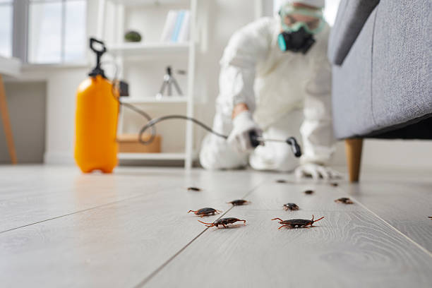 Post-Treatment Bed Bug Interceptor Monitoring in Greenport West