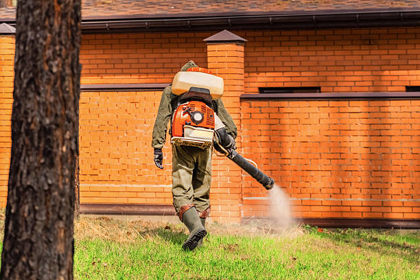 Bed Bug Clearance Verification and Documentation in Greenport West